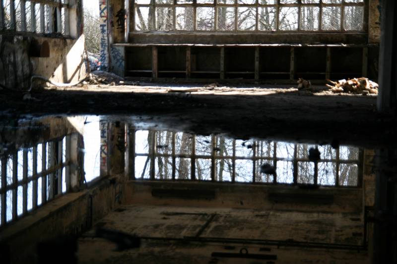 IMG_3996.jpg