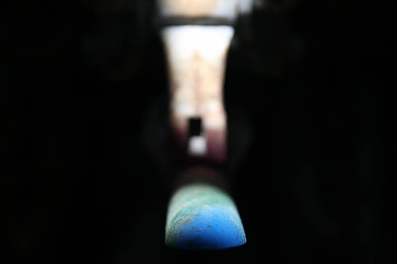 IMG_4123.jpg